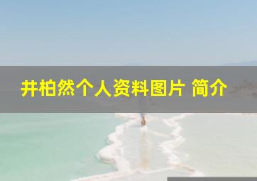 井柏然个人资料图片 简介